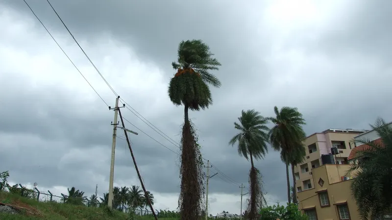 Planting Trees in Gottigere