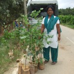 Mrs Janet with some of the tree saplings