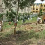 Volunteers planting trees